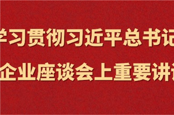 金沙8087集团集中进建习近平总书记在民营企业座谈会上沉要讲话心灵